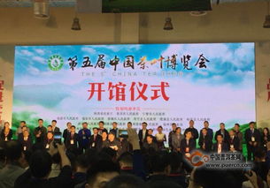 第五屆中國茶葉博覽會盛大啟幕，云茶借力山東平臺加速南茶北銷，開拓會展新格局